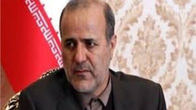 سید حمایت میرزاده معاون حقوقی و امور مجلس  وزارت آموزش و پرورش شد