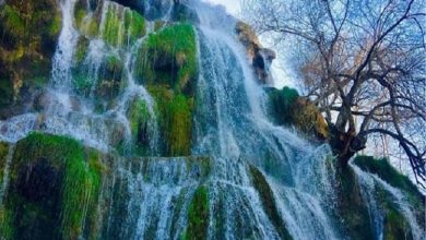 اردیبهشت فصل بهار و باران و کتاب