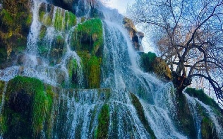 اردیبهشت فصل بهار و باران و کتاب