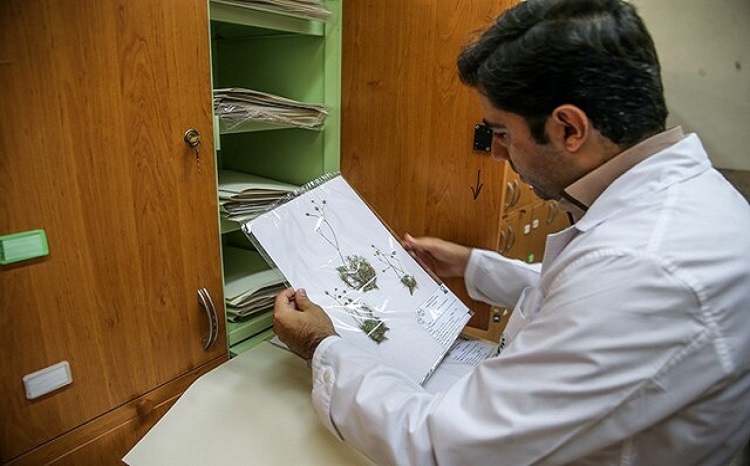 مهلت فراخوان «جذب مروج- پژوهشگر پسادکتری کشاورزی و منابع طبیعی» تا پایان جمعه ۱۳ تیرماه تمدید شد. پژوهشگران تا ساعت ۲۴ جمعه ۱۳ تیرماه ۱۴۰۴ فرصت دارند تا پیشنهاده خود را ارسال کنند.